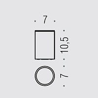 Colombo Design Plus Стакан для зубных щеток настольный, латунный, цвет: stainless steel W4941.HPS1