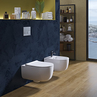 Berges Ego Подвесное биде 49х26h, цвет белый 082017