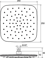 Верхний душ Ravak ABS 983.10 Верхний душ 25 см, 1 вид струи, без кронштейна, цвет: хром/белый X07P347