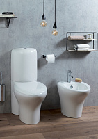 Крышка-сиденье Jacob Delafon Nouvelle Vague  с микролифтом E20068-00