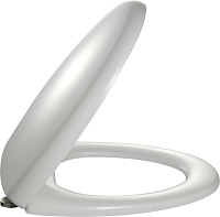 Jacob Delafon Presquile Унитаз подвесной, цвет: белый E4440 E4440-00