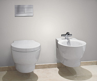 Унитаз подвесной Jacob Delafon Ove E1585 E1585-00