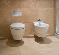 Унитаз подвесной Jacob Delafon Ove E1585 E1585-00