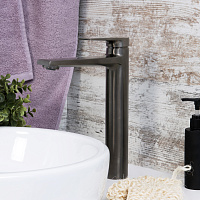 Wasserkraft Wiese Смеситель для умывальника, цвет: оружейная сталь 8403H