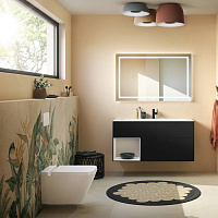 Villeroy & Boch Viconnect Панель смыва для унитаза, цвет: черный матовый 922490AN