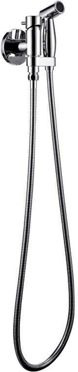 Bravat Eler Гигиенический душ, 8х16,2хh11,74, цвет: хром D9137CP-RUS