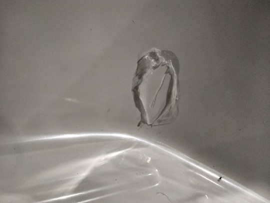 RGW Style Поддон для душа 80x80x27h см, цвет: белый 16180588-51