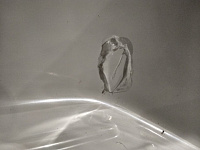 RGW Style Поддон для душа 80x80x27h см, цвет: белый 16180588-51