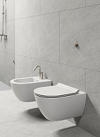 GSI Pura Унитаз подвесной 55x36 см безободковый, смыв swirlflush, цвет: ardesia opaco 881526