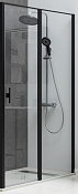 Allen Brau Priority Душевая дверь распашная 100x200h см, стекло прозрачное 8 мм, цвет: черный браш 3.31030.BBA