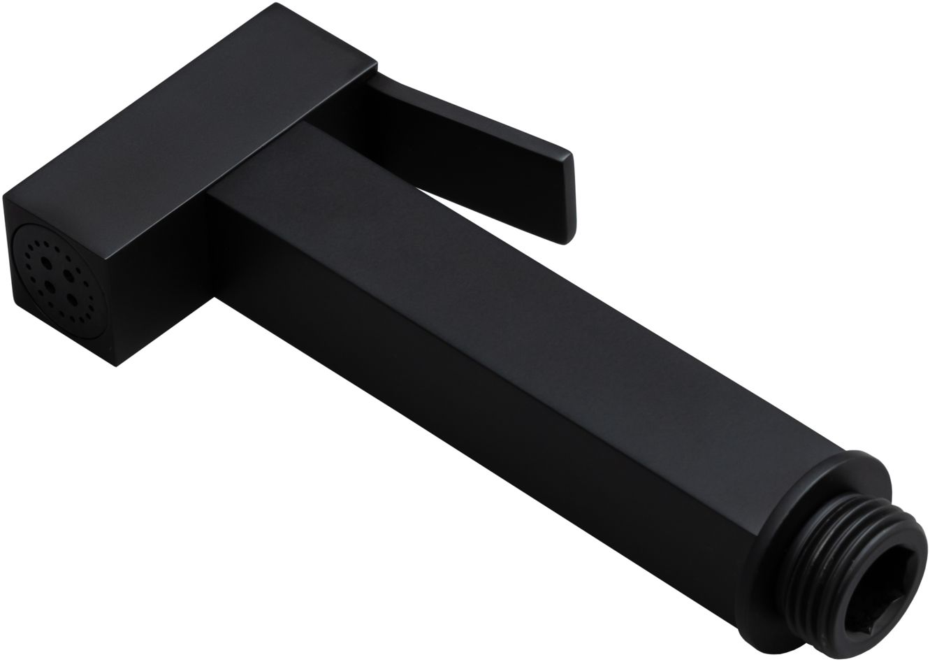 Allen Brau Infinity Гигиеническая лейка, цвет: черный матовый 5.21A05-31