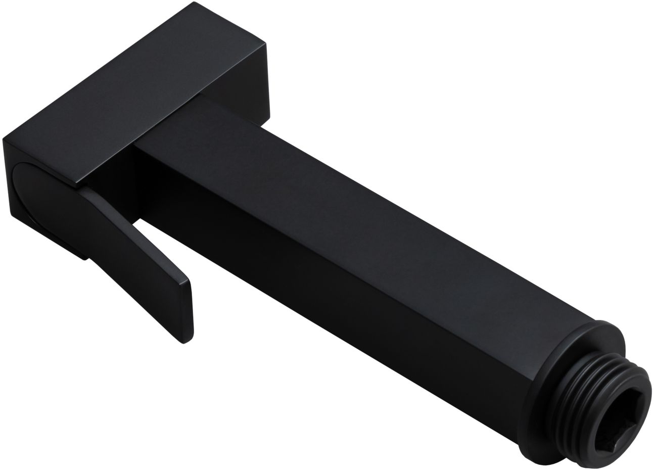 Allen Brau Infinity Гигиеническая лейка, цвет: черный матовый 5.21A05-31