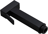 Allen Brau Infinity Гигиеническая лейка, цвет: черный матовый 5.21A05-31