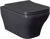 Allen Brau Infinity Чаша подвесного унитаза 34x53,5 см, каскадный смыв, цвет: антрацит 4.21011.AN