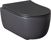 Allen Brau Priority Чаша подвесного унитаза 36x49 см, каскадный смыв, цвет: антрацит 4.31002.AN