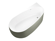 Allen Brau Priority Акриловая ванна угловая 170x80 см, цвет: внутри белый, снаружи олива, матовая 2.31002.21/CGM