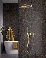 Timo Saona Душевой комплект встраиваемый, цвет: золото матовое SX-2349/17SM