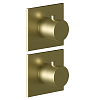 Almar Modular Square Термостат для душа, внешняя часть на 2 потребителя, цвет: brushed high brass E180182.HB