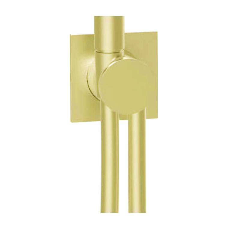 Almar Modular Square Шланговое подключение для лейки с держателем, цвет: brushed high brass E192001.HB