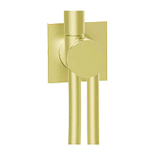 Almar Modular Square Шланговое подключение для лейки с держателем, цвет: brushed high brass E192001.HB