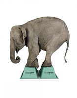 Burlington Arundel Акриловая ванна встраиваемая 170х75 см, цвет: белый глянцевый E30