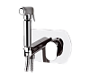 Remer Class Line Гигиенический душ со смесителем, шланг 120 см, с встраиваемой частью, цвет: cromo L60