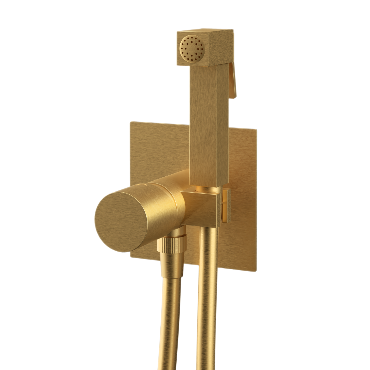 Remer Edge Гигиенический душ со смесителем, шланг, с встраиваемой частью, цвет: oro spazzolato EG565BG