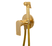 Remer Infinity Гигиенический душ со смесителем, шланг, с встраиваемой частью, цвет: oro spazzolato I65BG