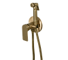 Remer Infinity Гигиенический душ со смесителем, шланг, с встраиваемой частью, цвет: vecchio ottone I65VO