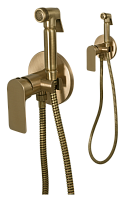Remer Infinity Гигиенический душ со смесителем, шланг, с встраиваемой частью, цвет: vecchio ottone I65VO