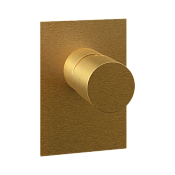 Remer Edge Смеситель для душа встраиваемый, 1 потребитель, с скрытой частью, цвет: oro spazzolato EG530BG