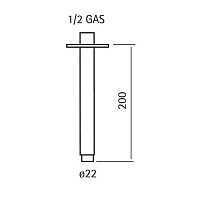 Cisal Xion Держатель верхнего душа потолочный 20 cм, цвет: inox DS013561D1