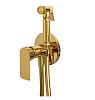 Remer Infinity Гигиенический душ со смесителем, шланг, с встраиваемой частью, цвет: oro lucido I65DO