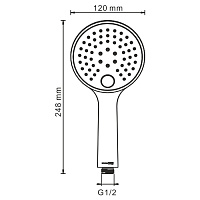 Wasserkraft Sauer Лейка для душа, цвет: золото A207