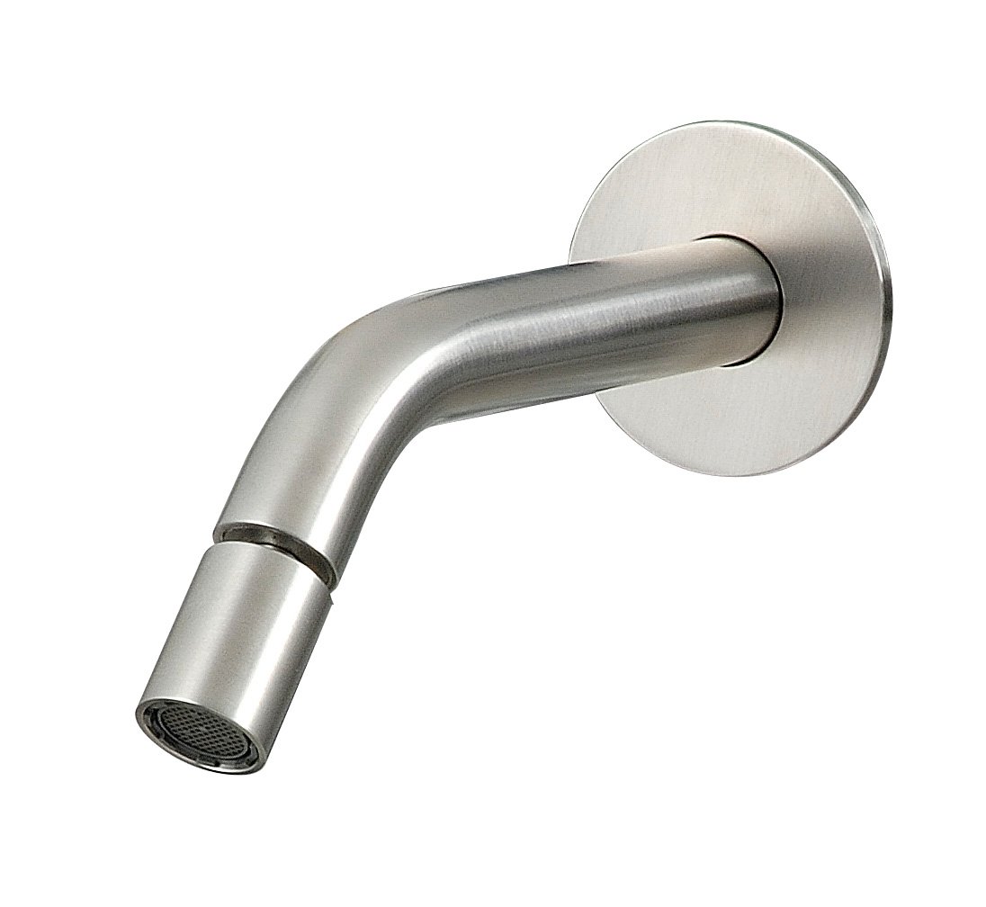 Treemme 40MM Излив настенный для биде, цвет: нержавеющая сталь 1379IS