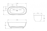 Abber Kristall Прозрачная ванна отдельностоящая овальная 170x75x55h см, цвет: черный AT9707Onyx