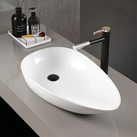 Abber Bequem Раковина накладная овальная 59x36x11h см, цвет: белый матовый AC2117MW