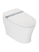 Panasonic CH Унитаз-биде приставной электронный 40,6x69,5 автомат. крышка с подогревом, цвет: белый 2720