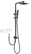 Allen Brau Infinity Душевая стойка: перекл. потоков, руч. и вер. душ, шланг 150 см, цвет: черный мат 5.21031-31