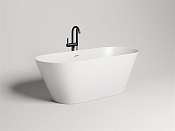 Salini Mona Ванна из S-Stone отдельностоящая 170x72 см, цвет: RAL полностью матовый 102922MF