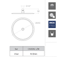 Ramonsoler Hidroterapia Лейка тропического душа из нержавеющей стали, цвет: золото брашированное RM250OC