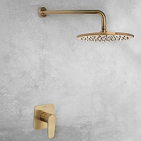 Ramonsoler Hidroterapia Лейка тропического душа из нержавеющей стали, цвет: золото брашированное RM250OC