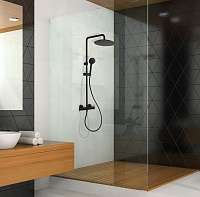 Ramonsoler Tzar Смеситель настенный с душем, цвет: матовый черный 340801BTNM