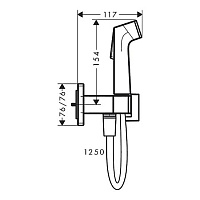 Hansgrohe Bidette E Гигиенический душ, EcoSmart+, смеситель(внешняя часть), цвет: матовый черный 29233670