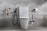 Ramonsoler Drako Гигиенический душ с магнитным клапаном, цвет: матовый черный 336801WCNM