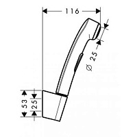 Hansgrohe Гигиенический душ, держатель, цвет: хром 96907000