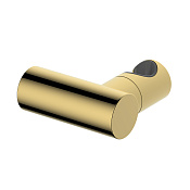 Wasserkraft Держатель для ручного душа поворотный, цвет: золото A322