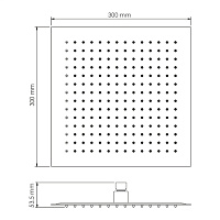 Wasserkraft Sauer 7100 Верхний душ 30x30 см, без кронштейна, цвет: золото A261