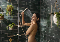 Hansgrohe WallStroris Planet Edition Душевая штанга 70 см, цвет: песочный 28911210