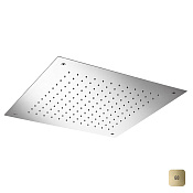 Almar Square 500 Потолочный душ 49,8х49,8 см, встраиваемый, 1 режим, цвет: polished gold E044024.GO